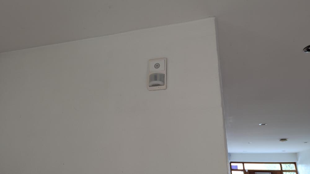 PXL_20250723_061018946.MP.jpg